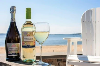 Vineyard Voyages