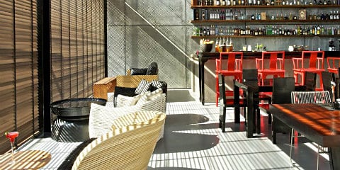 Пейдж @ The Library Hotel