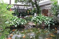 Aqua @ Anantara Siam Bangkok