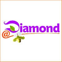Diamond Pub at Restaurant