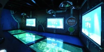 Vida Marítima Bangkok Ocean World