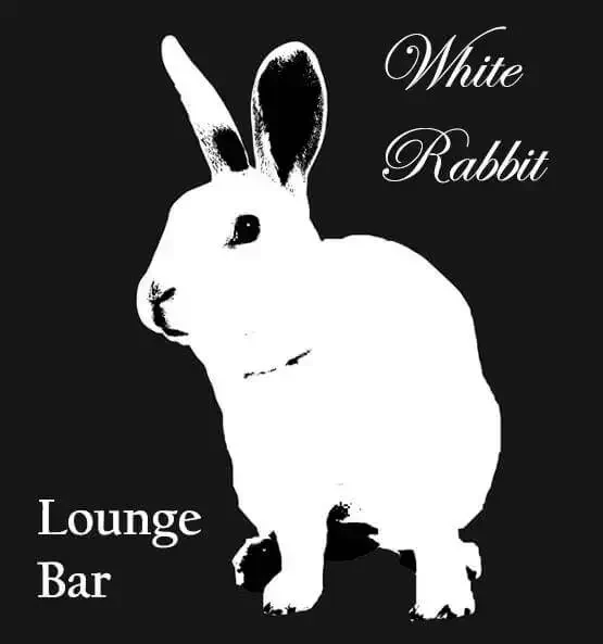 white rabbit lounge