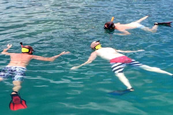 苏梅岛同性恋浮潜之旅 - 不再提供