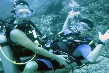 Samui Gay Scuba Diving - 已關閉