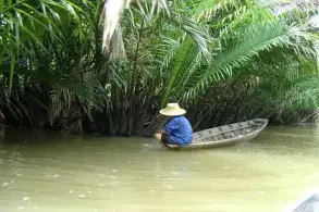 過夜雨林冒險 - 已關閉