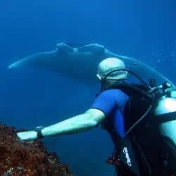 LGBT Scuba Diving Trips Worldwide