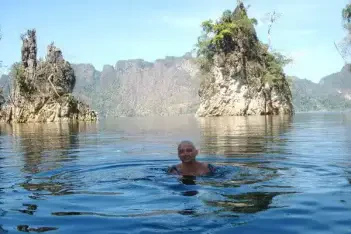 過夜雨林冒險 - 已關閉