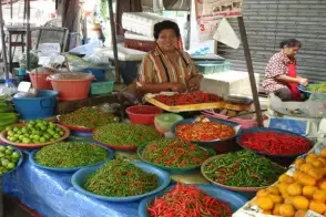 過夜雨林冒險 - 已關閉