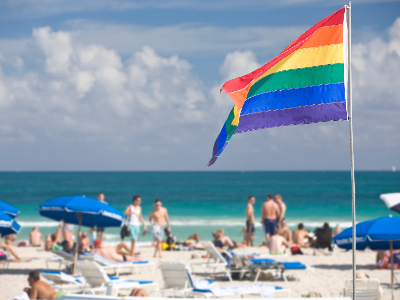 Miami Rainbow forår 2024: Alt hvad du behøver at vide