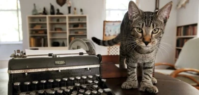 The Ernest Hemingway Home and Museum