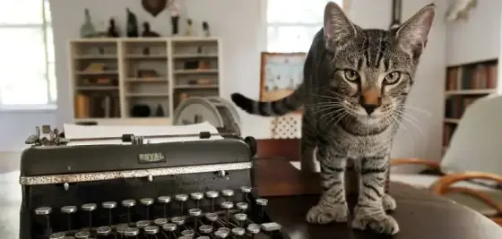 The Ernest Hemingway Home and Museum