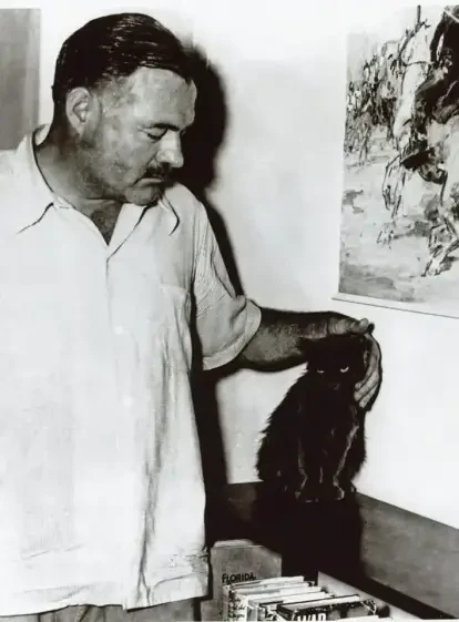 The Ernest Hemingway Home and Museum