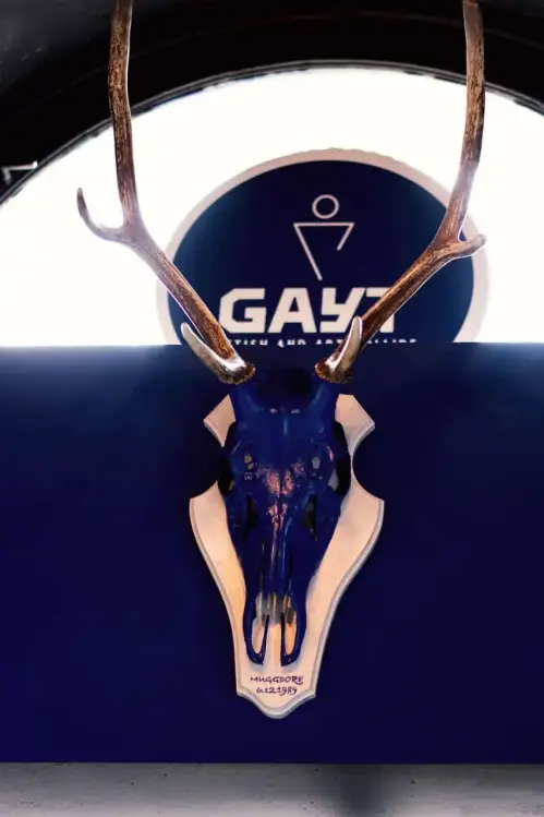 Gayt Vienna