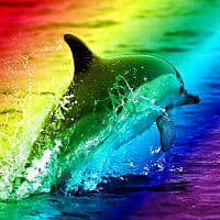 Dive The Rainbow (ZGŁASZONO ZAMKNIĘTE)