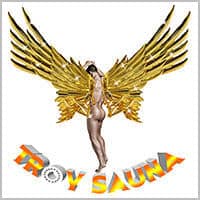 Troy Sauna