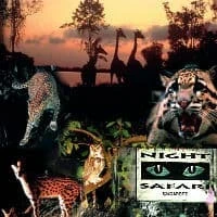 Night Safari