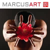MarcusArt - reported closed