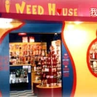 I Need House