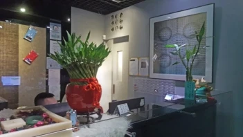 Taipei I/O