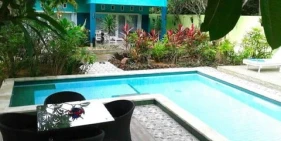 Lazy Monkey - CLOSED