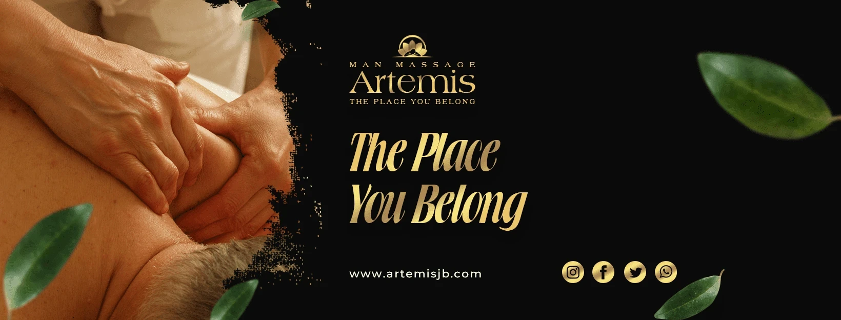 Artemis Profile Cover