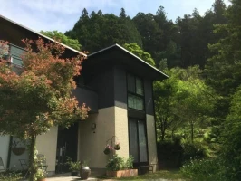 Bunny and Bears Bed & Breakfast