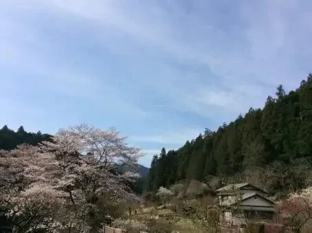 Bunny and Bears 住宿加早餐