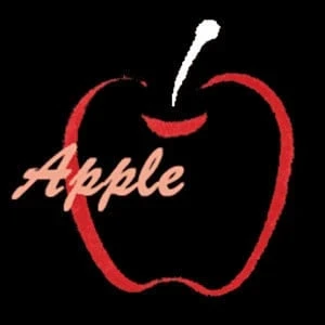 Apple Bar Kyoto gay bar main