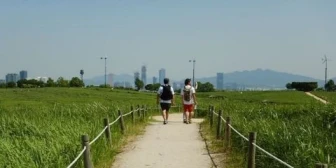 Seoul Tour Guide