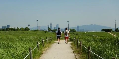 Untitled design (26)