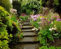 Northeast Gay Massage