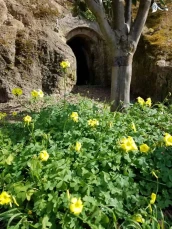 SunCave Gardens