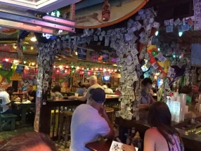 Purple Parrot Grill