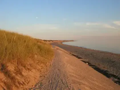 Herring Cove Beach Provincetown gay beach