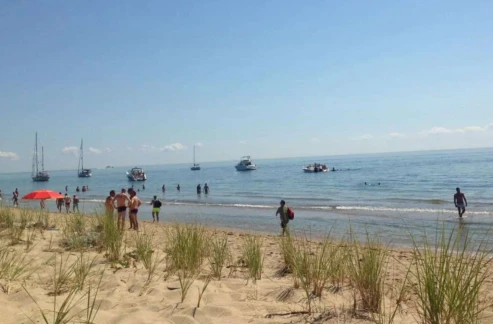 Boy Beach Provincetown