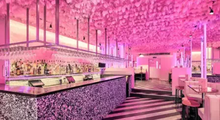 Tonight Josephine Clapham