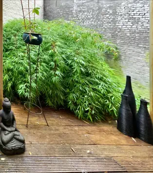 Skin Care by Nathalie