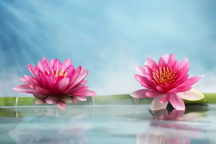 Pannarai Samui Massage