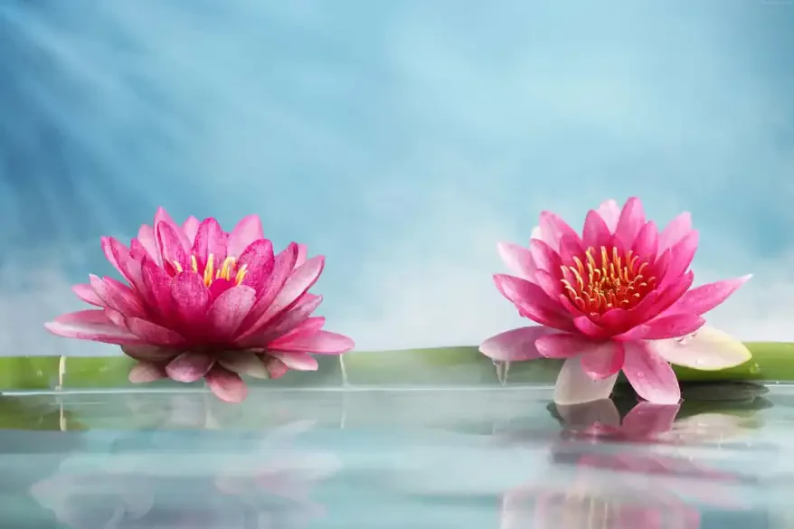 Pannarai Samui Massage