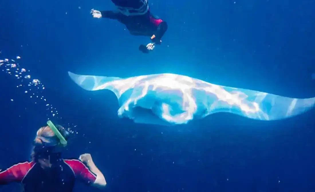 Belize 10-Daagse Luxe Reis (Gay Vriendelijk)