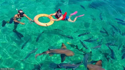 Belize 10-Daagse Luxe Reis (Gay Vriendelijk)