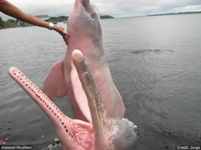 North Brazil 14-Day Luxury Tour (Gay Friendly)