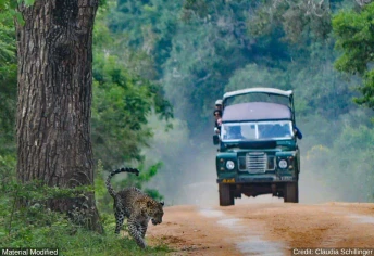 Sri Lanka 10-Day Luxury Tour (Gay Friendly)