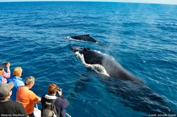 Sri Lanka 10-Day Luxury Tour (Gay Friendly)