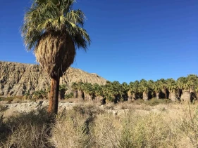 Gay Desert Hot Springs