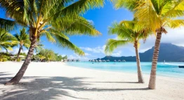 GaySail Tahiti