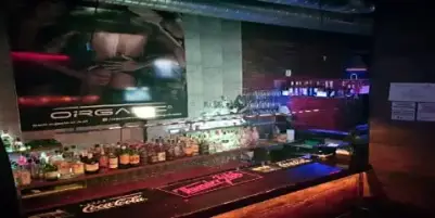 Organic Males - weekend party, 9pm - close