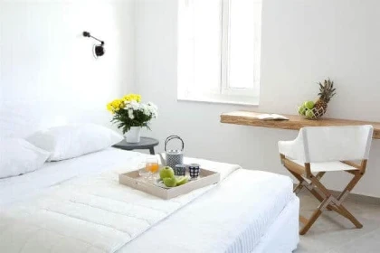 Santorini Secret Suites & Spa