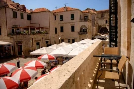The Pucic Palace