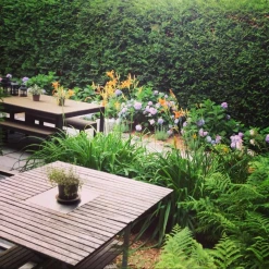 Studio Living Montreal